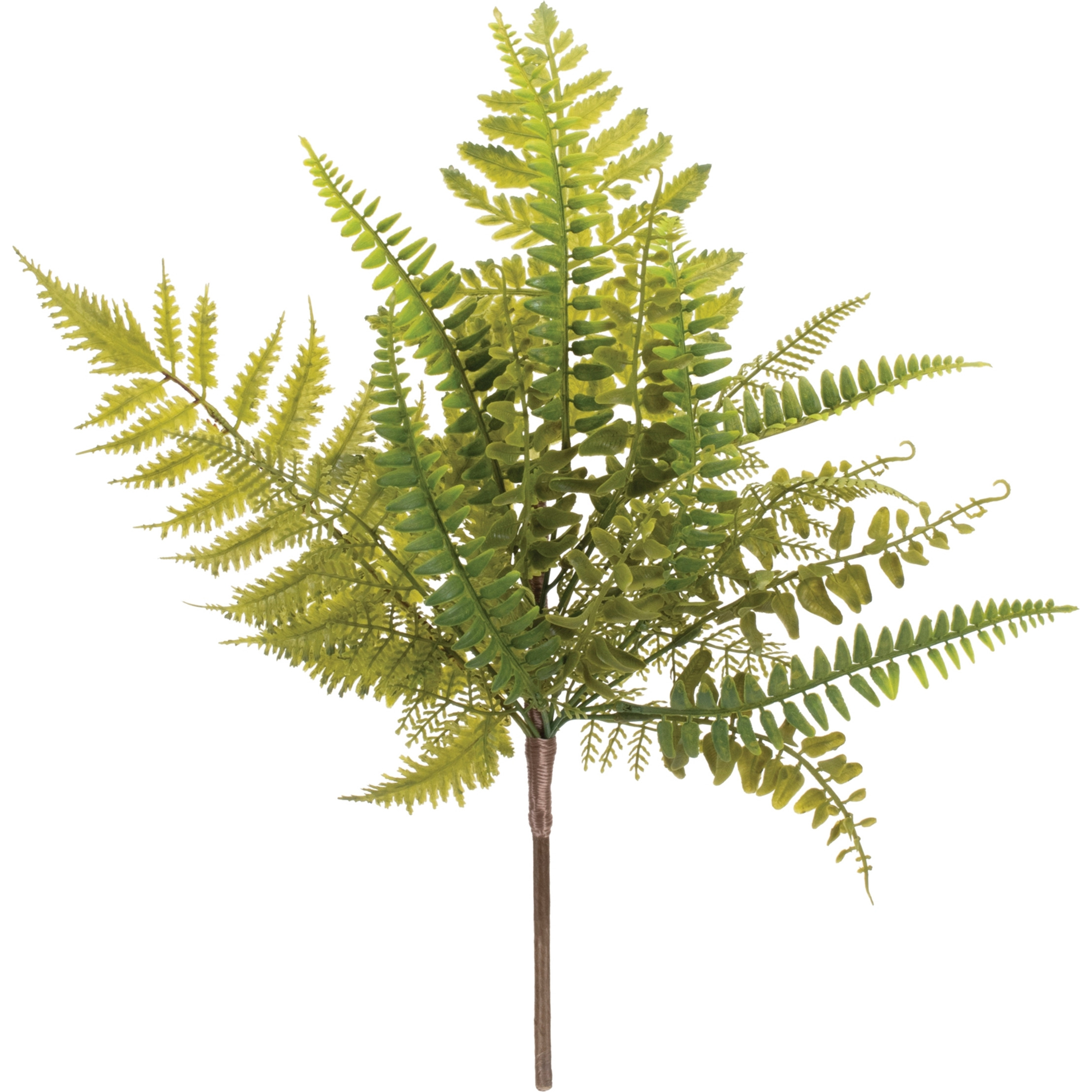 Mixed Fern Foliage Spray (Set of 6)