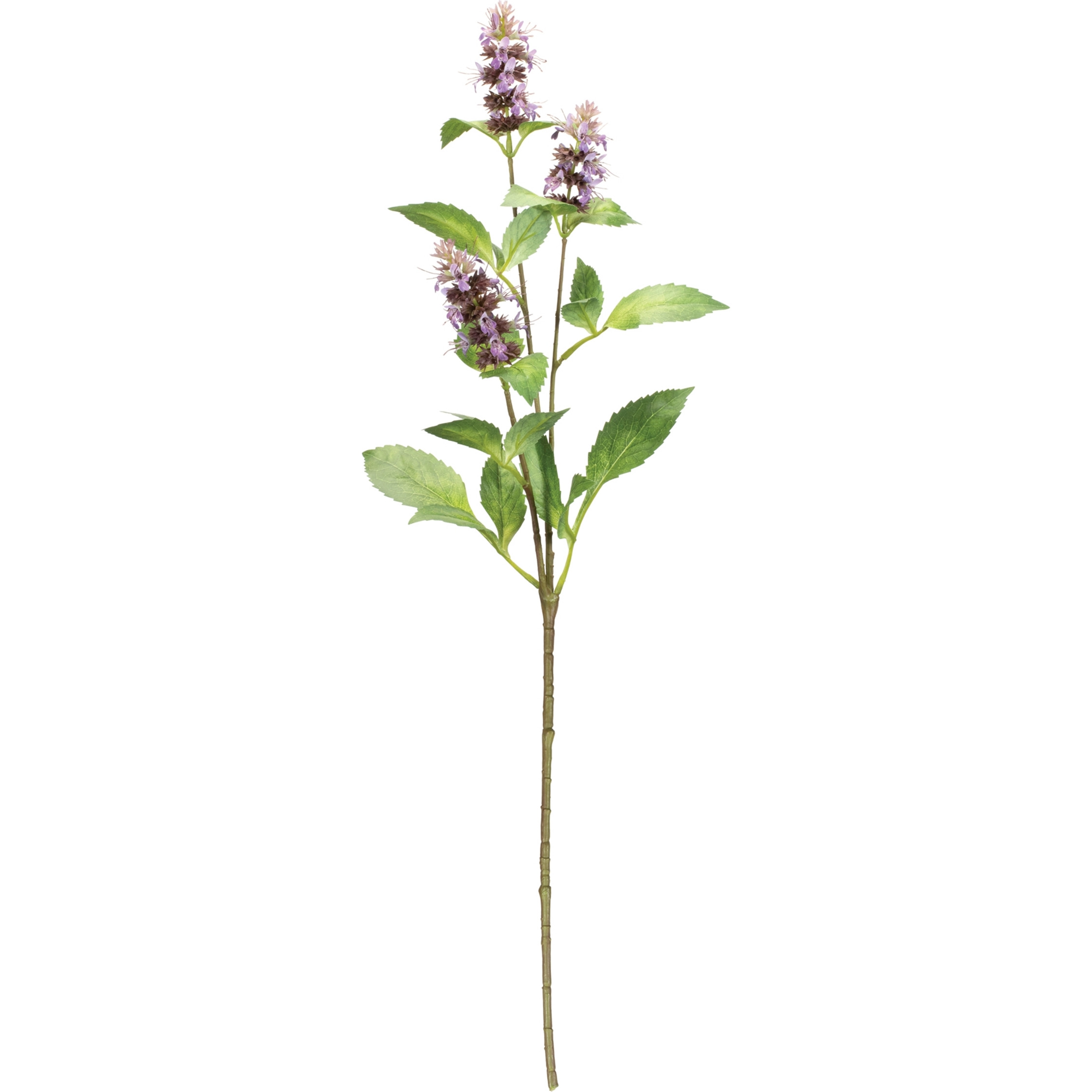 Plum Buddleia Floral Stem (Set of 6)
