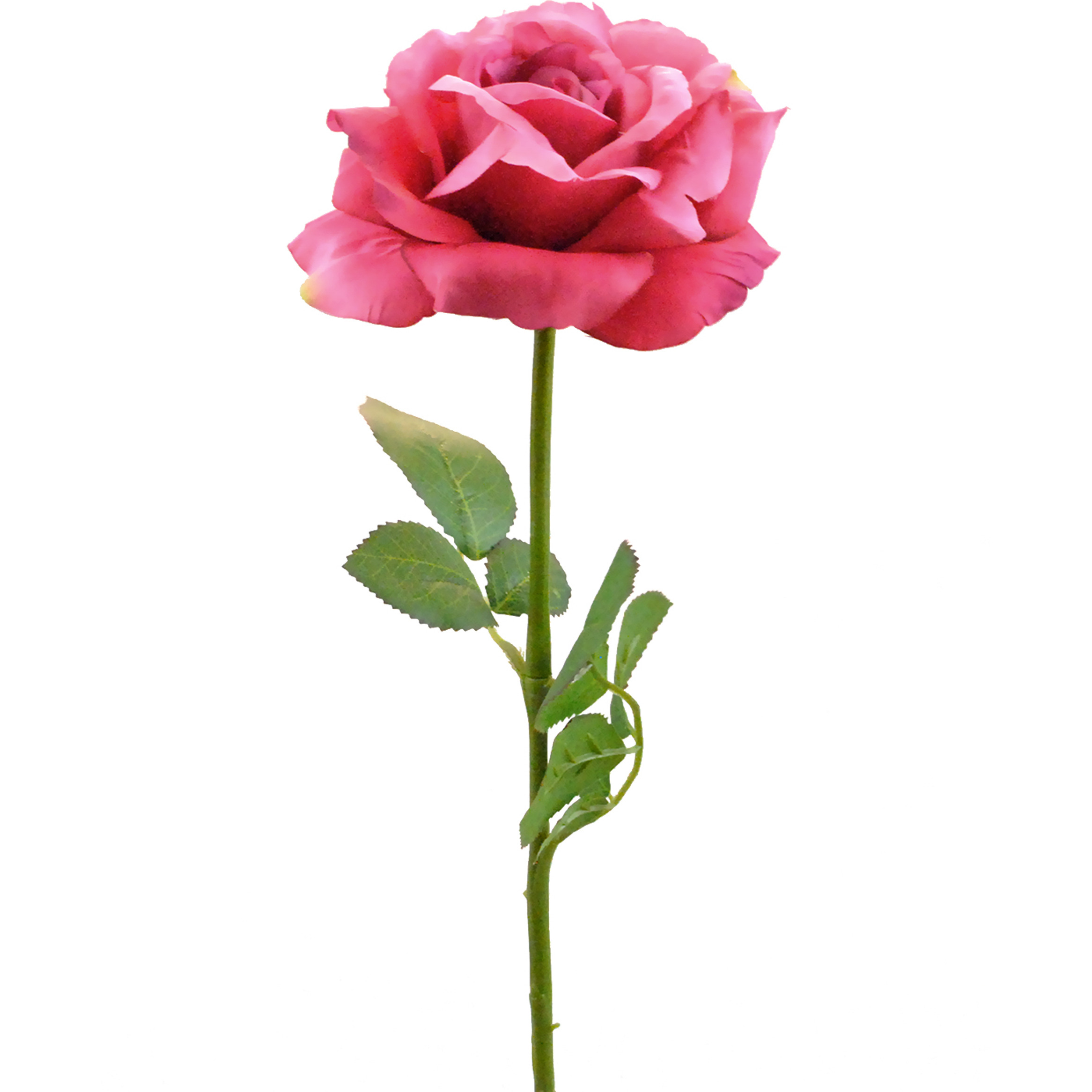 DII Flower Open Rose Pink (Set of 6)