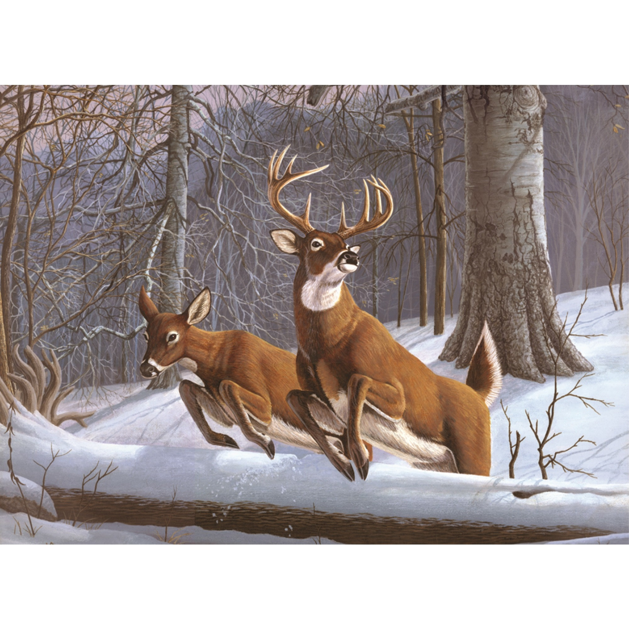 ADLT LG PBN-WHITE TAILS