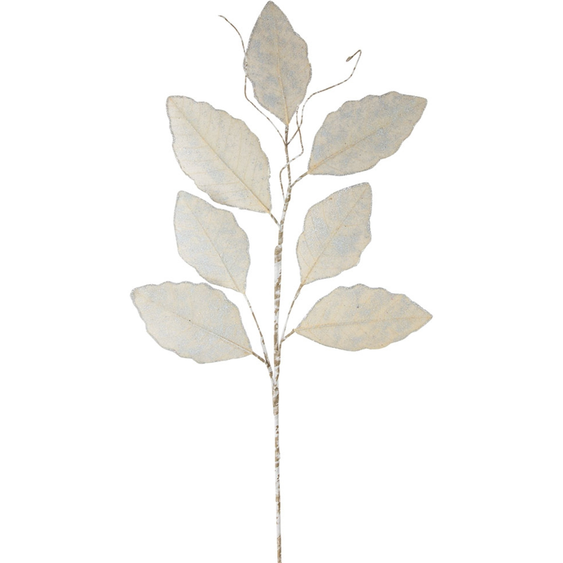 Magnolia Leaf Spray 31.5&quotH (Set of 12) Paper