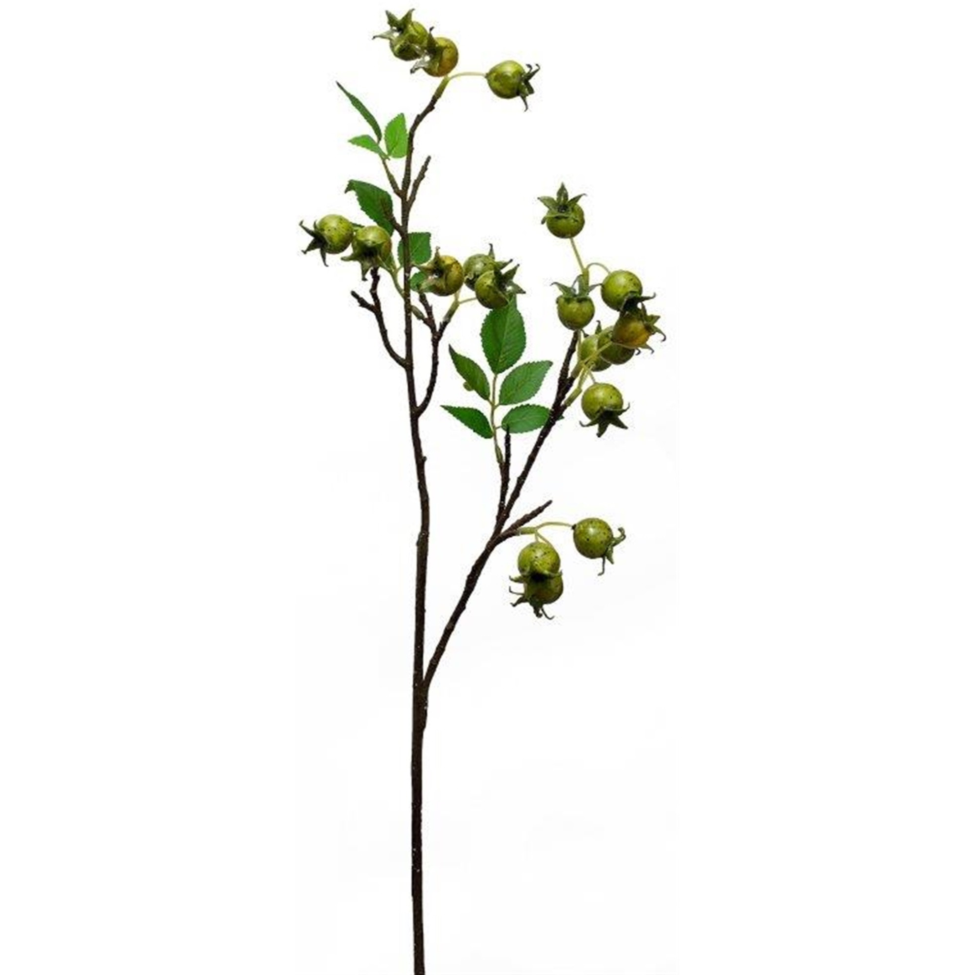 Rose Hip Spray (Set of 12) 33.75&quotH Foam/Plastic