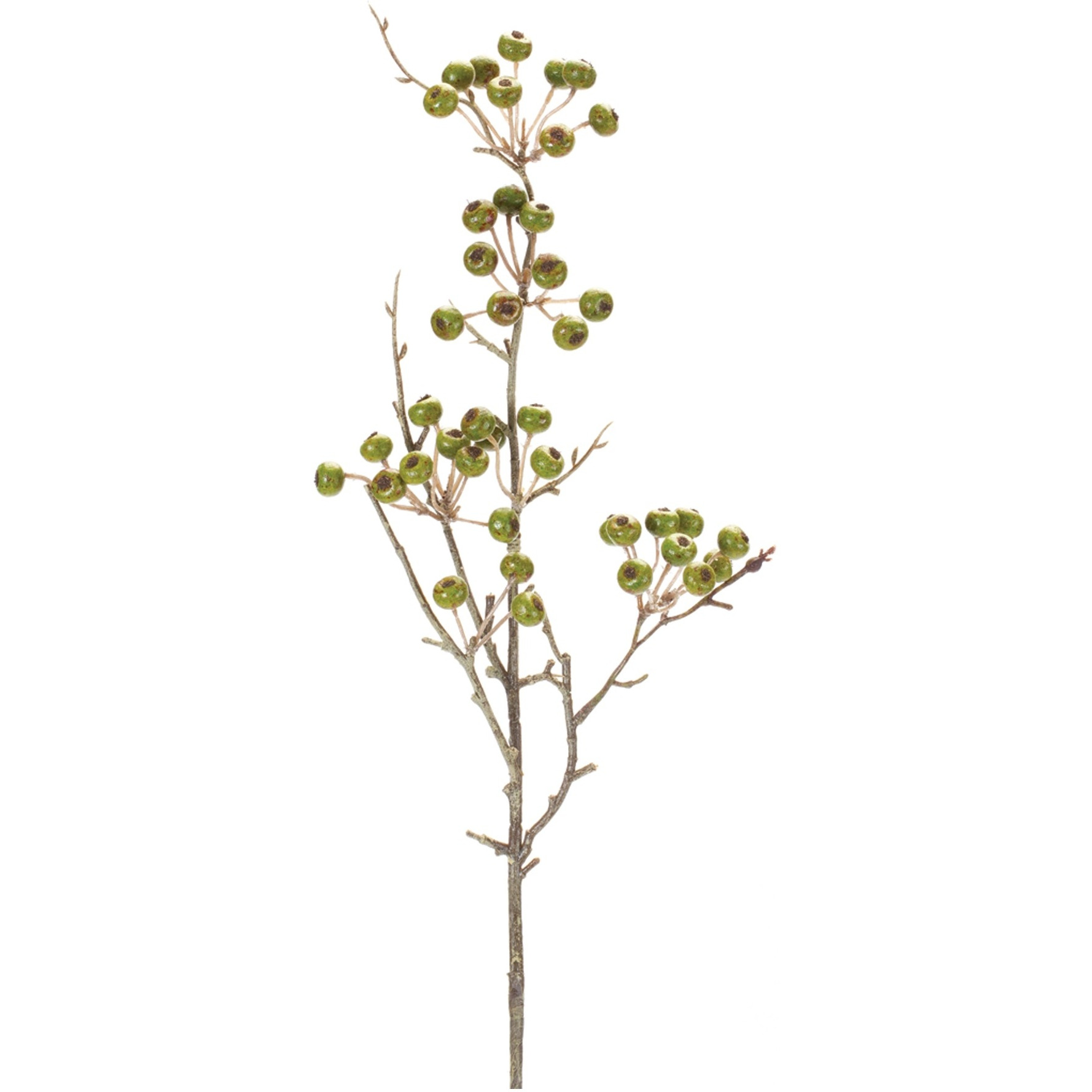 Winter Berry Pod Spray (Set of 12)