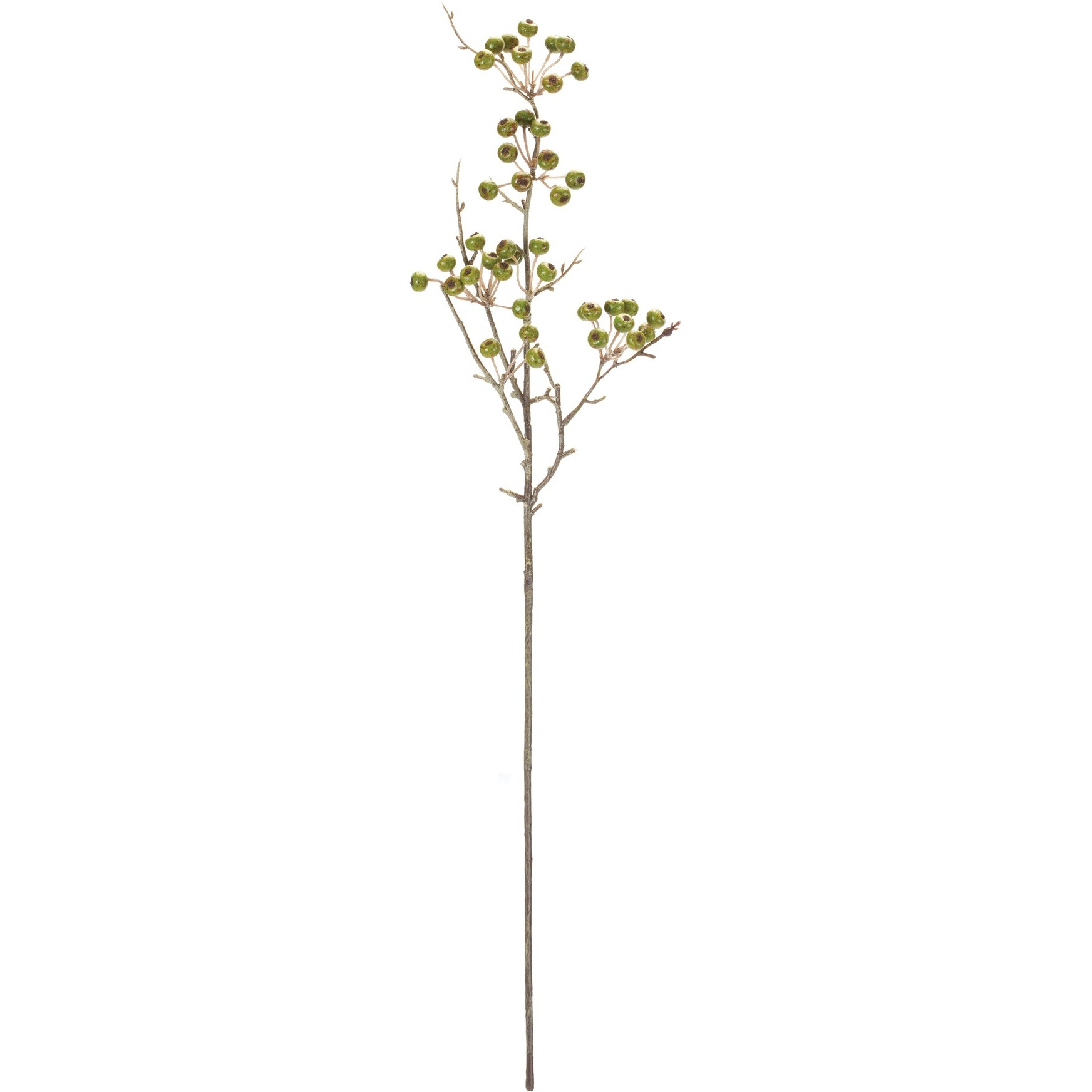 Winter Berry Pod Spray (Set of 12)