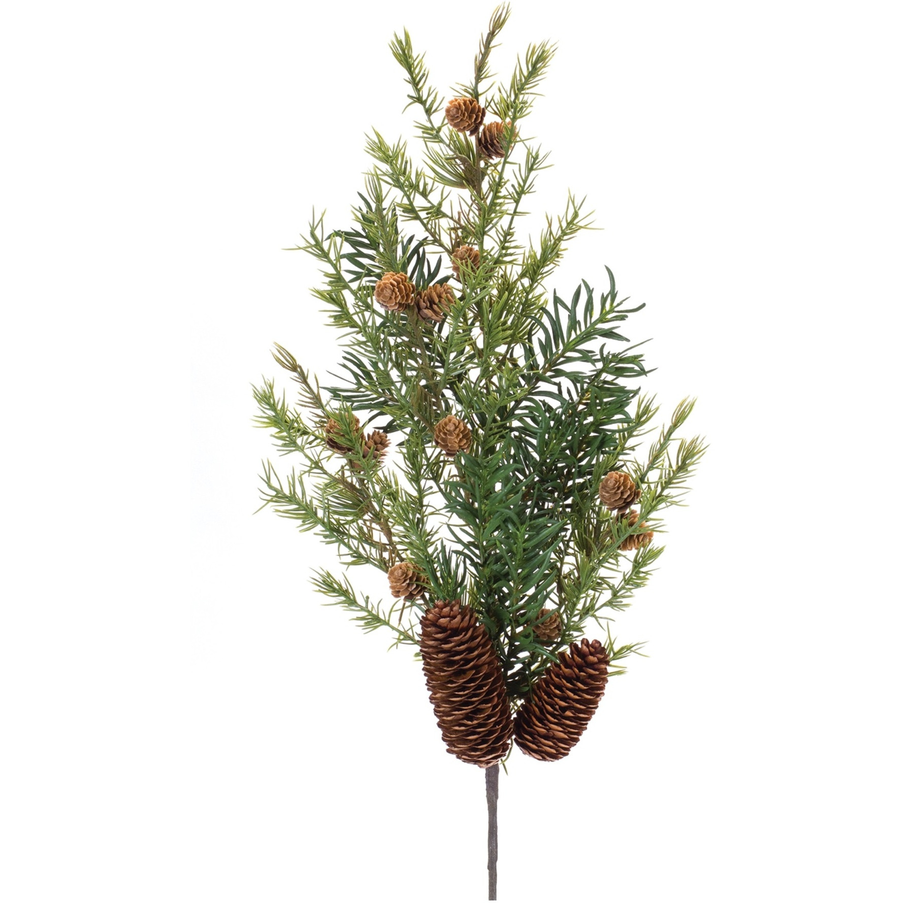 Pine Spray (Set of 6)