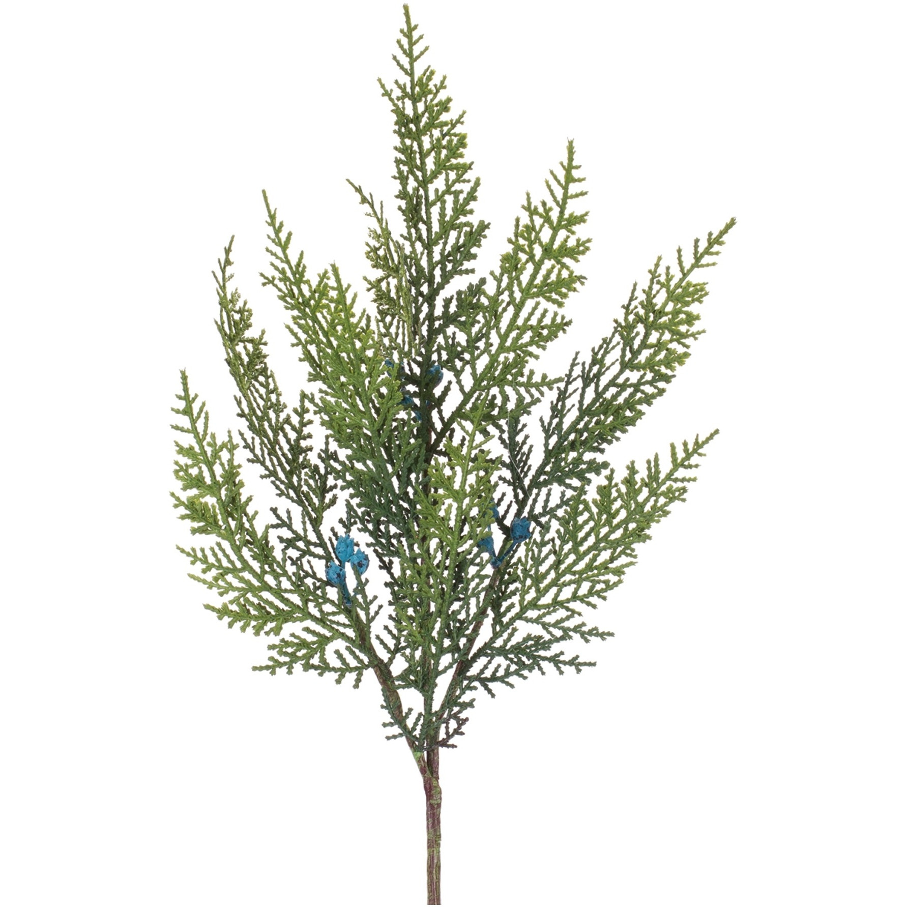 Variegated Juniper Spray (Set of 12)