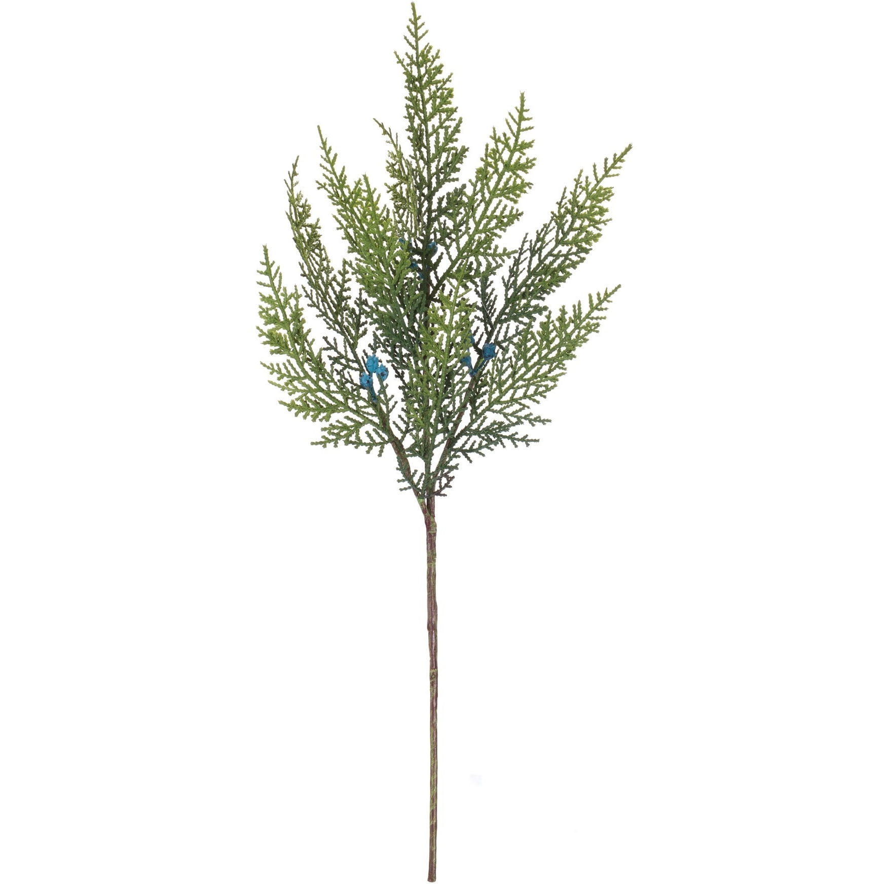 Variegated Juniper Spray (Set of 12)