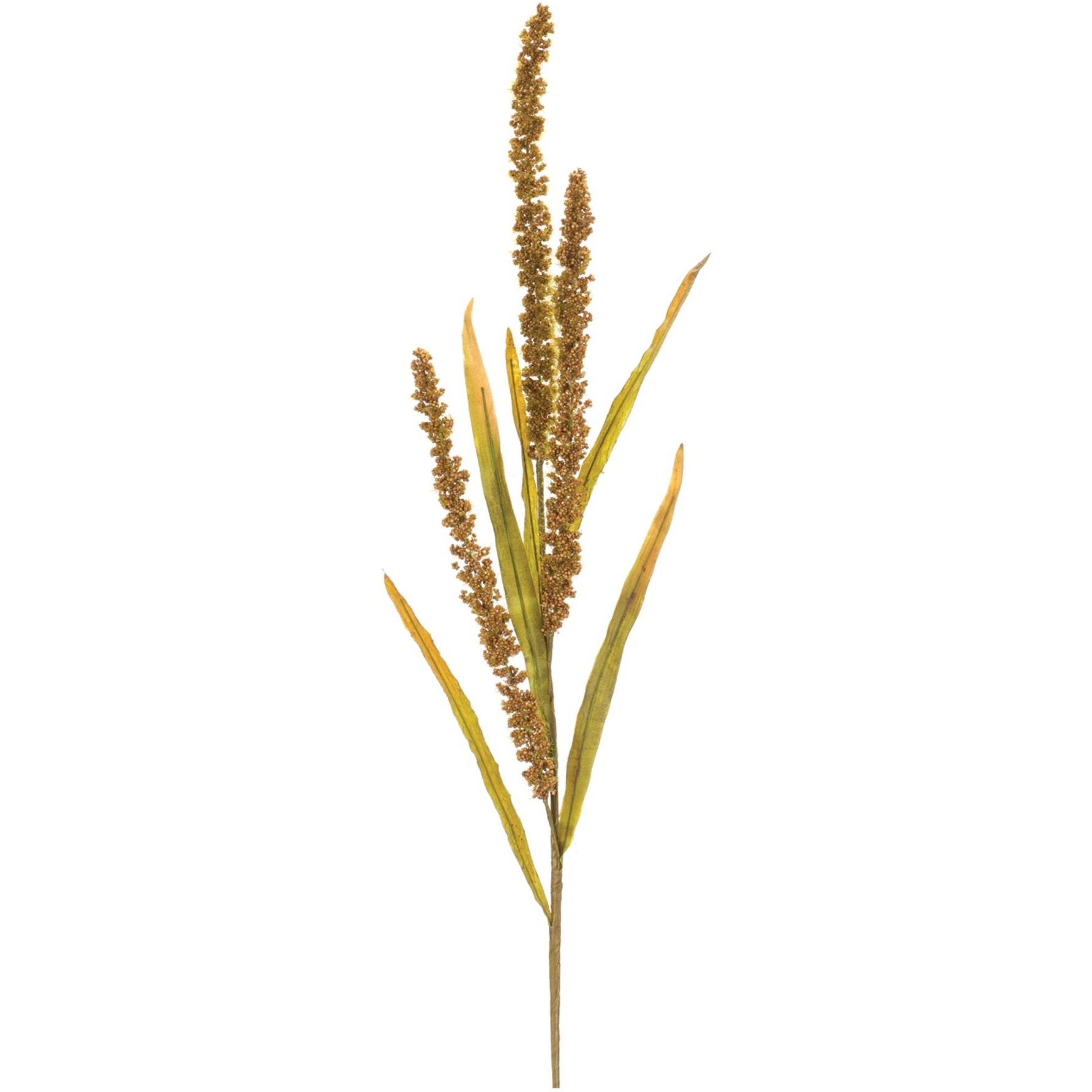 Seeded Harvest Spray (Set of 12)