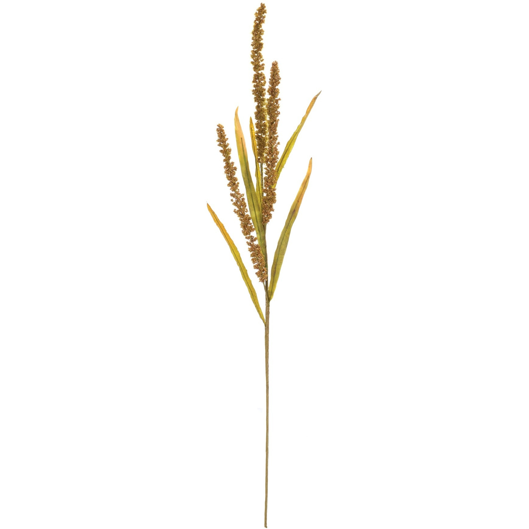 Seeded Harvest Spray (Set of 12)