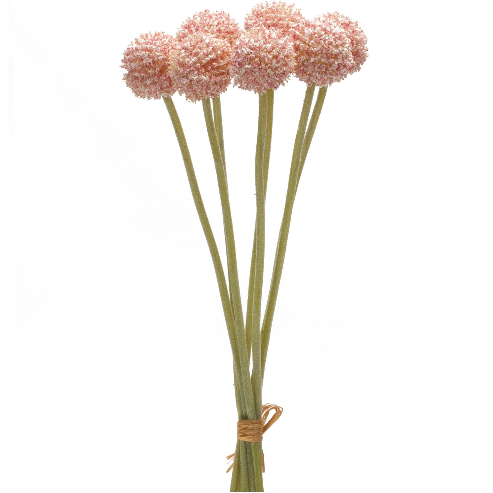 Pod Bundle (Set of 6)