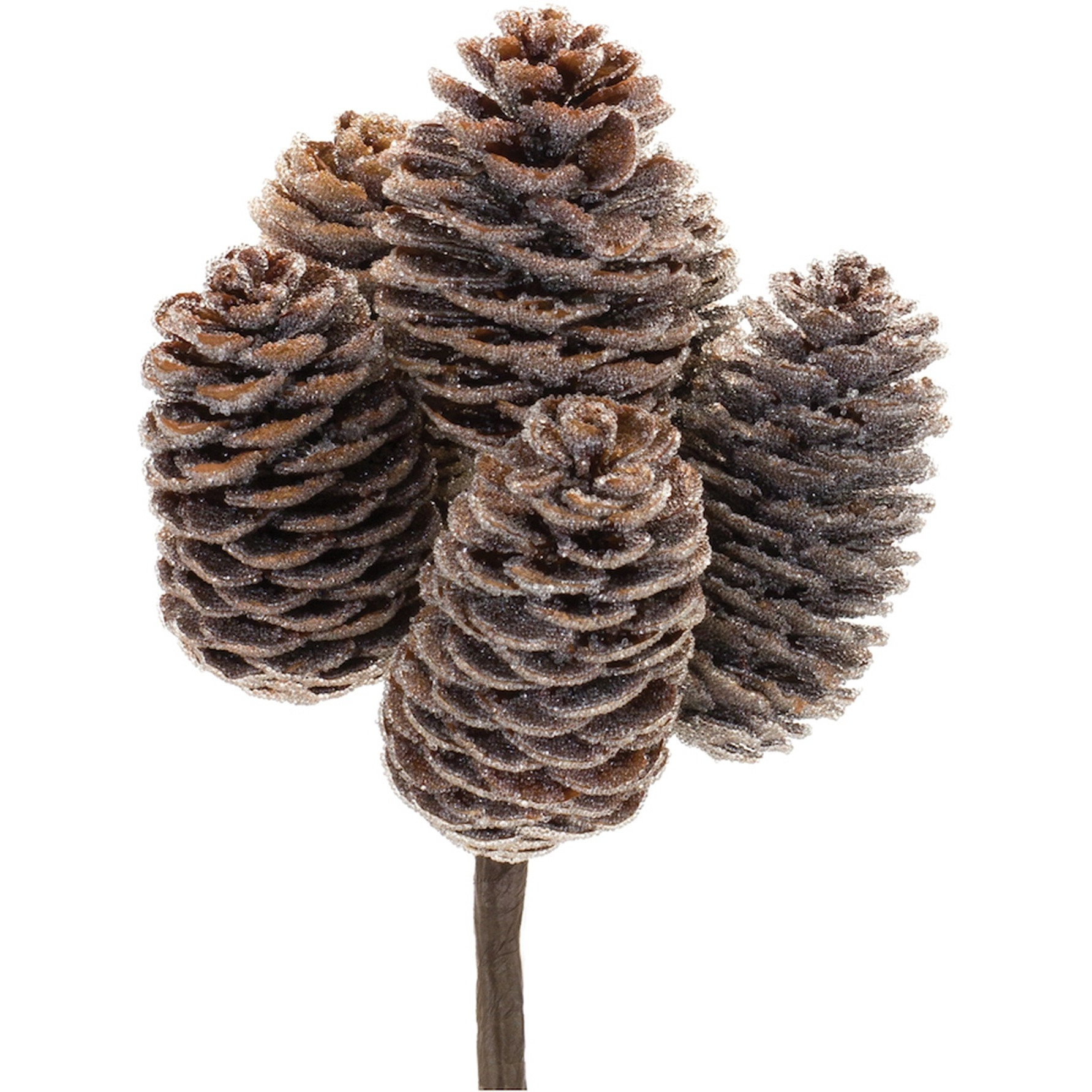 Pine Cone Bundle (Set of 12)