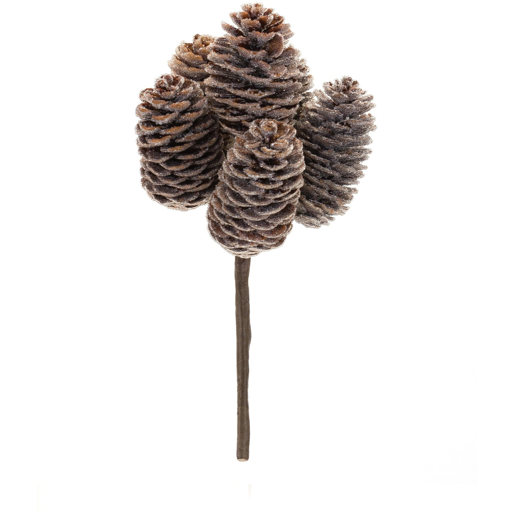 Pine Cone Bundle (Set of 12)