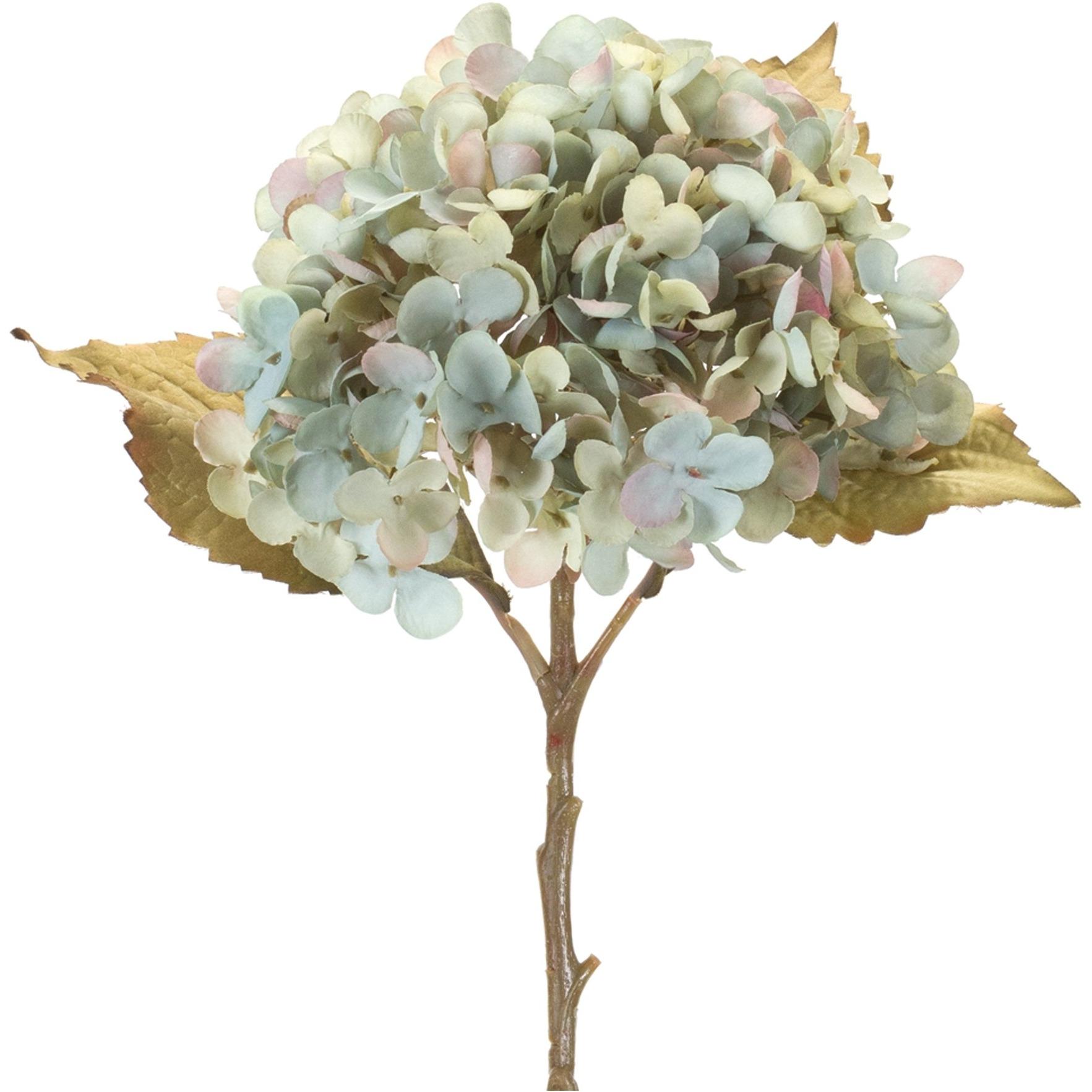 Hydrangea Stem (Set of 6)