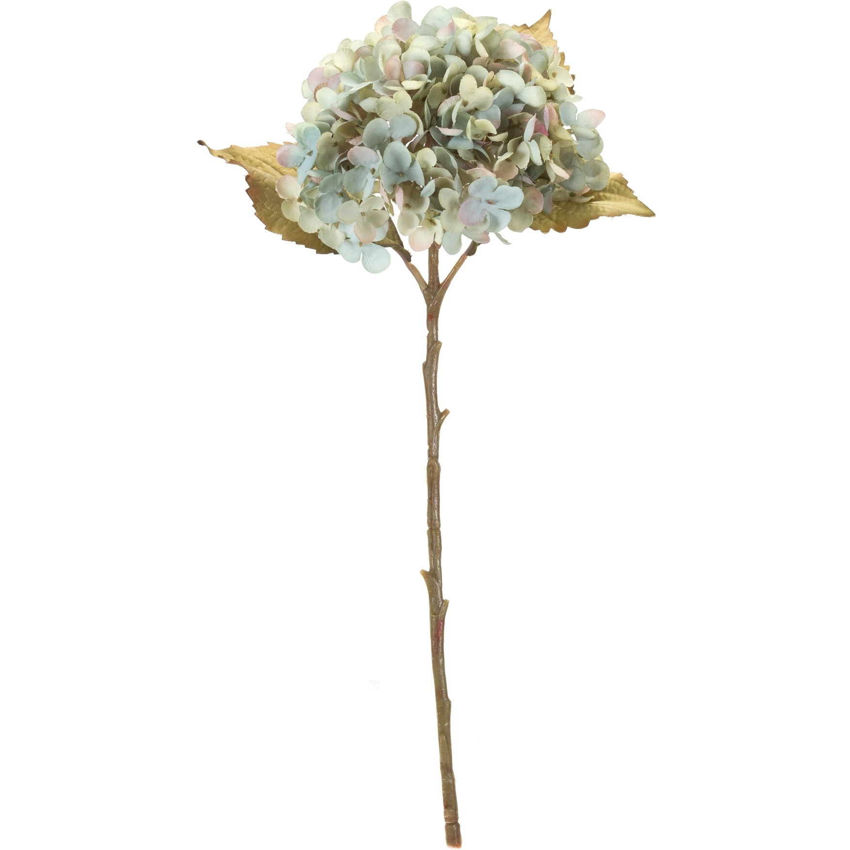 Hydrangea Stem (Set of 6)