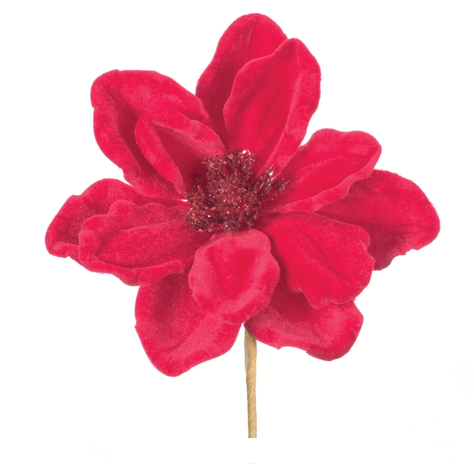 Anemone Flower Stem (Set of 12)