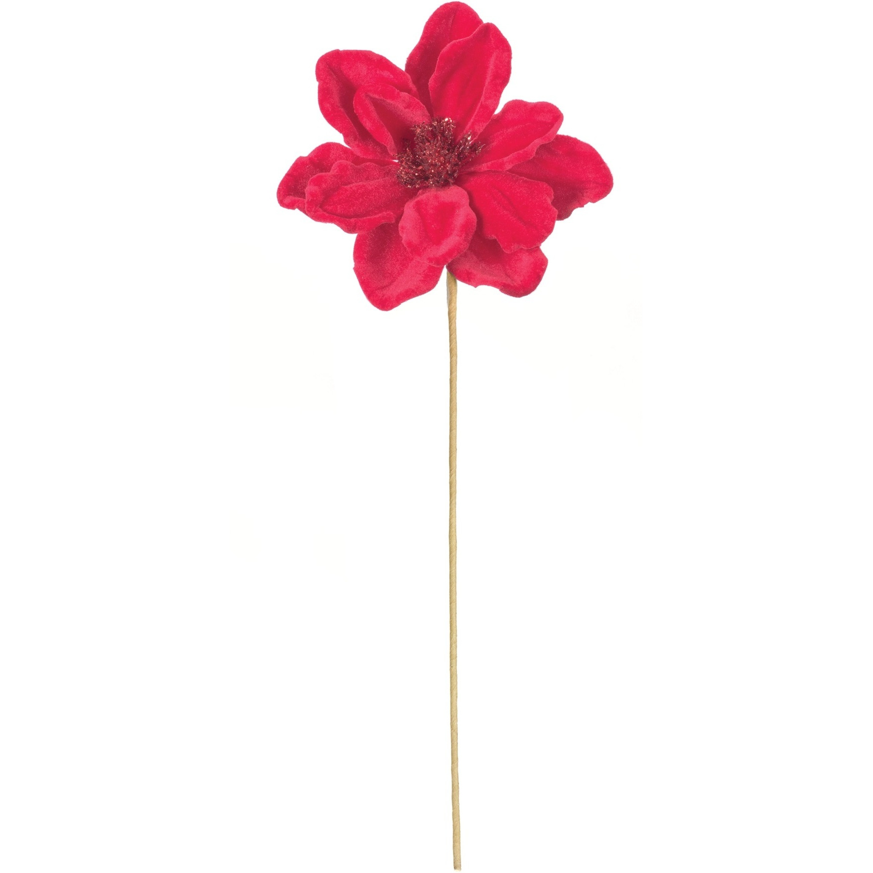 Anemone Flower Stem (Set of 12)