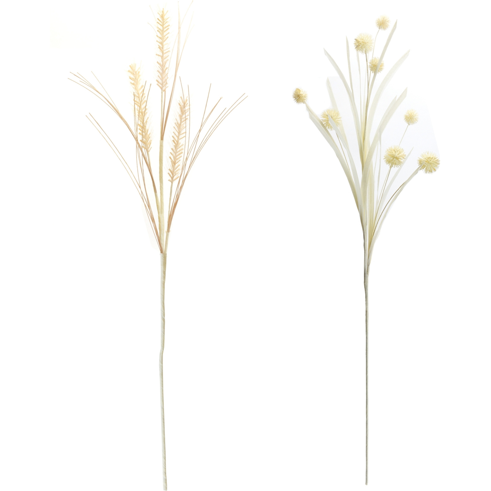 Foxtail and Pod Spray (Set of 12)