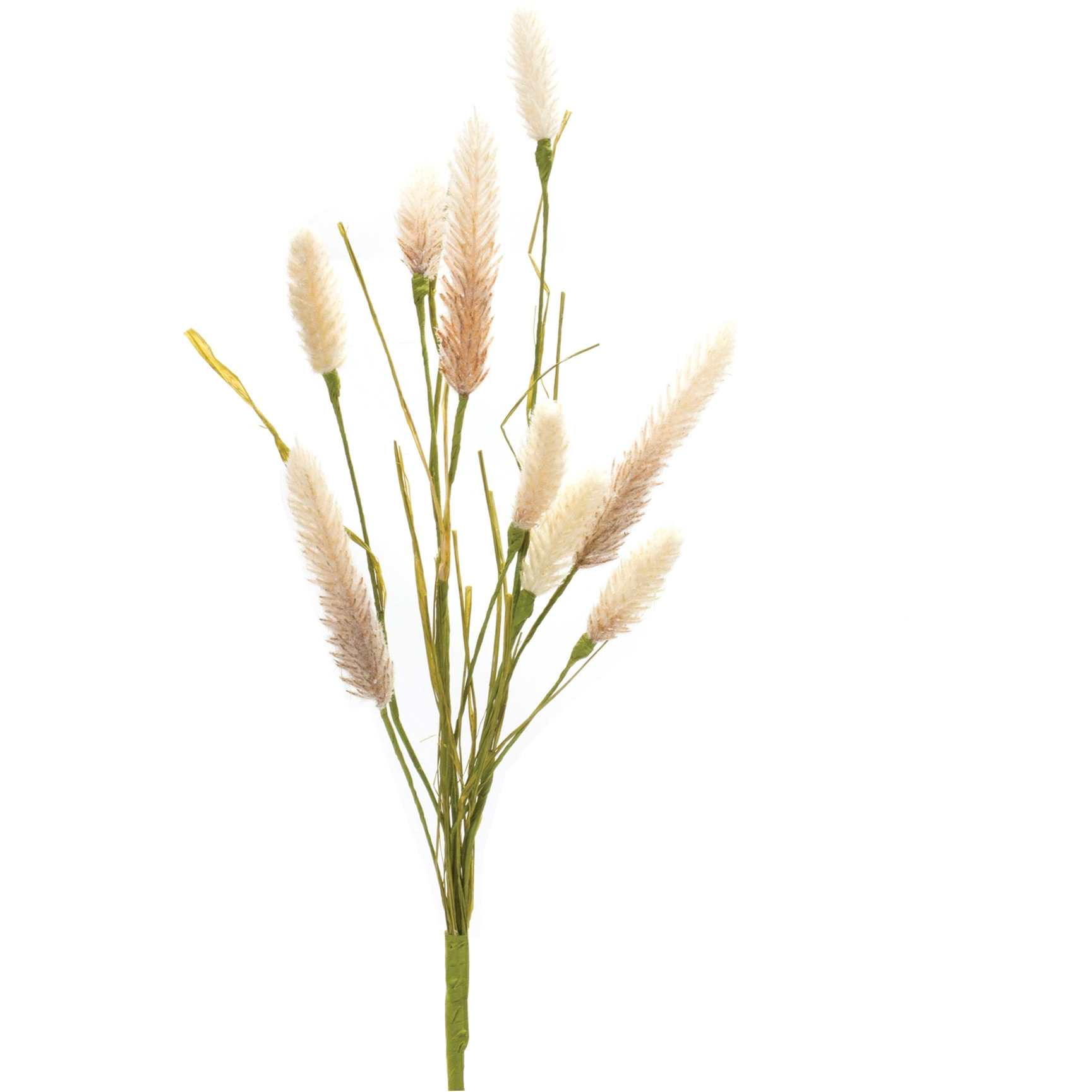 Foxtail Spray (Set of 6)