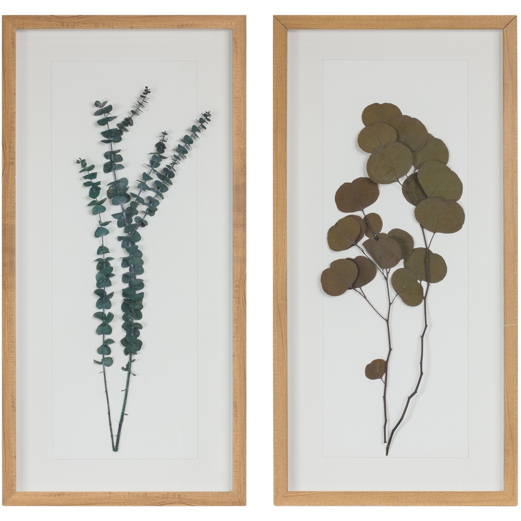 Dried Eucalyptus Frame (Set of 2)