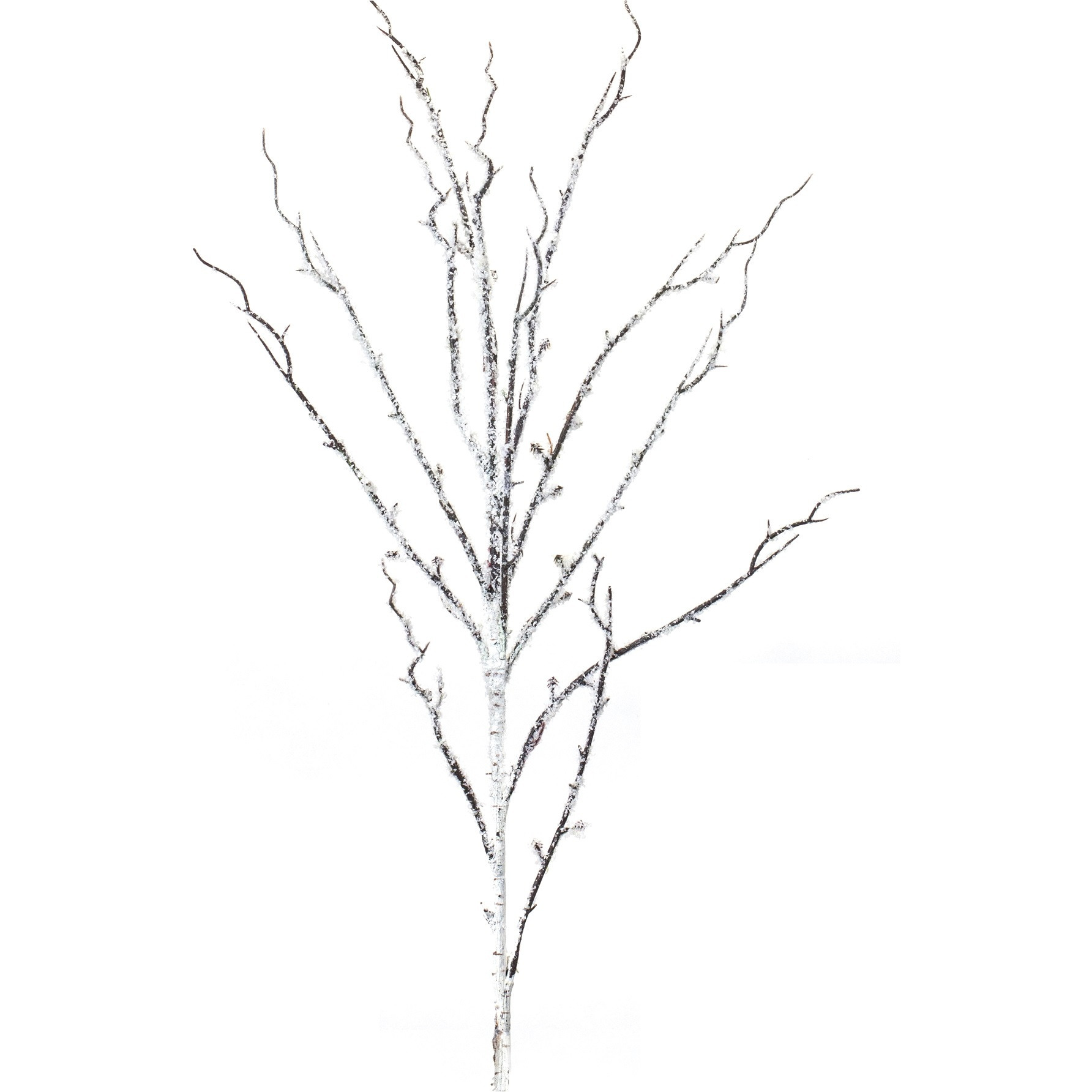 Flocked Birch Twig Branch (Set of 12)