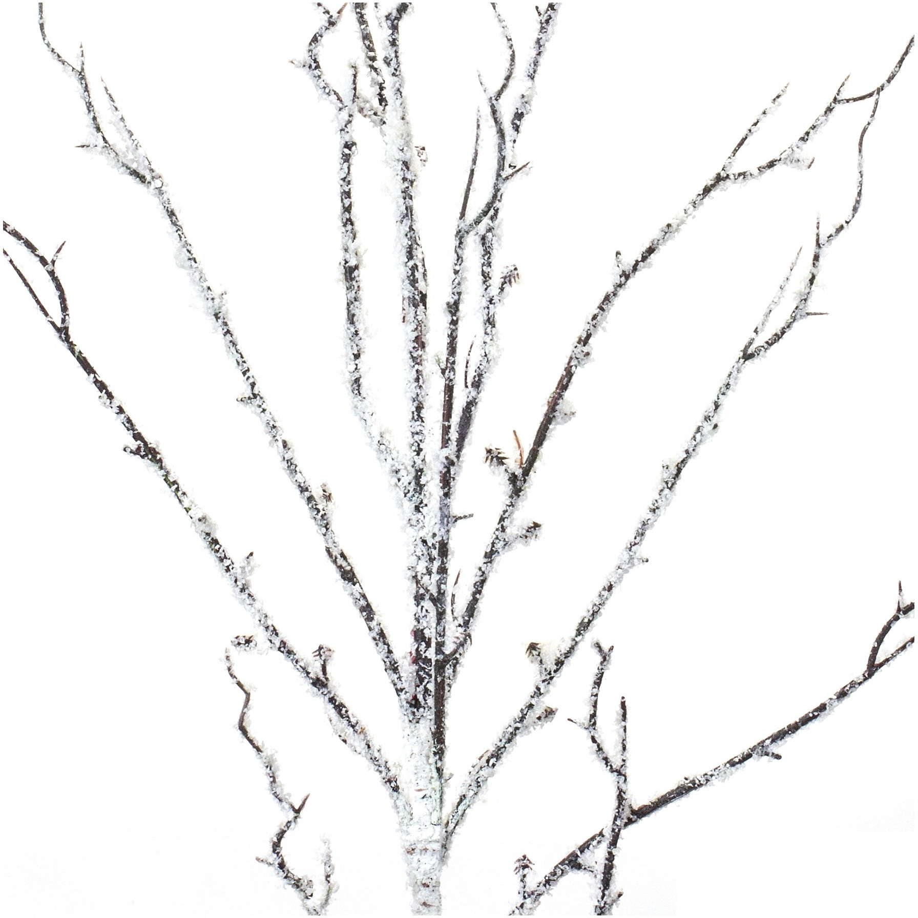 Flocked Birch Twig Branch (Set of 12)