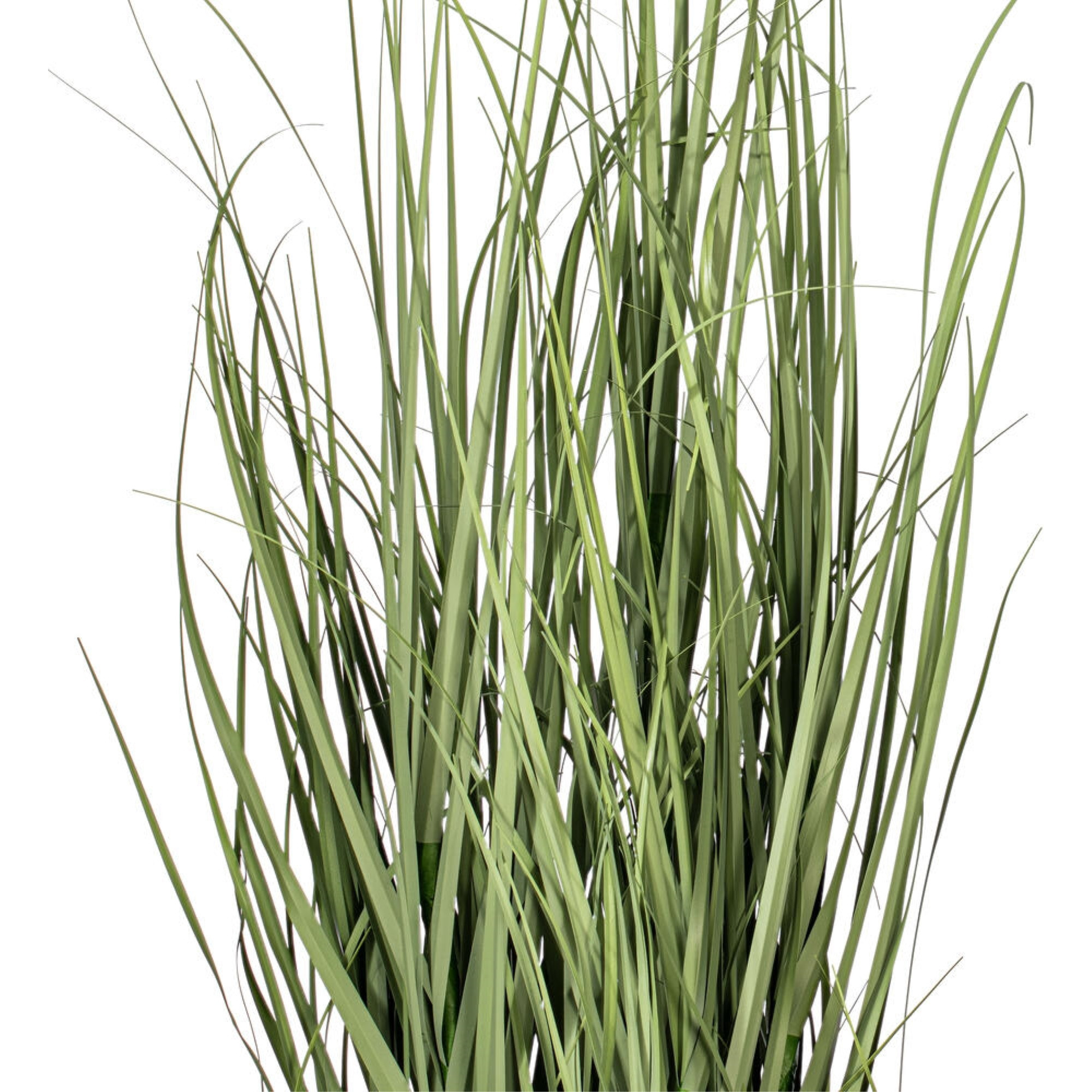 Vickerman 36" Artificial Green Potted Ryegrass.
