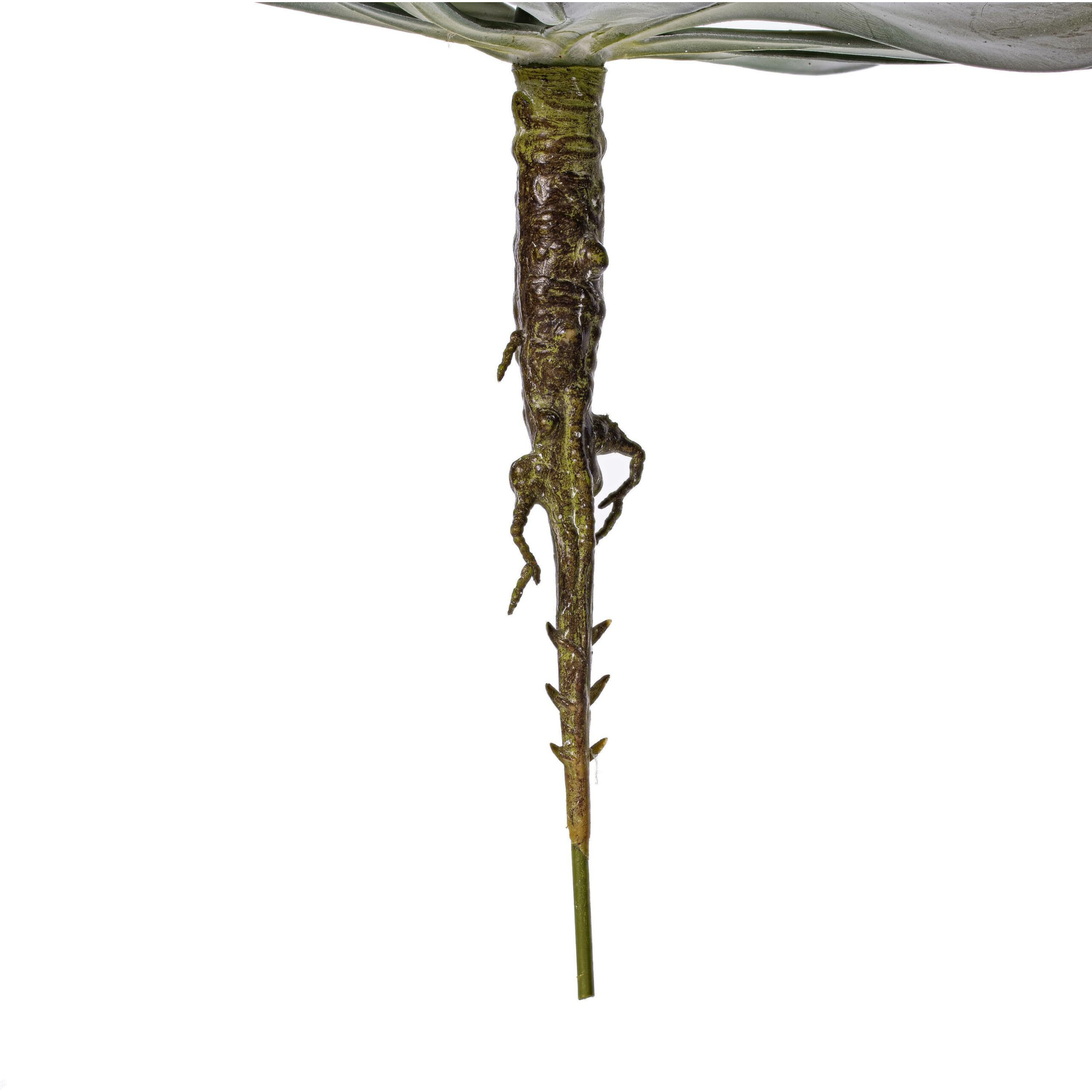 Vickerman 12.5" Green Succulent Pick - FE191112