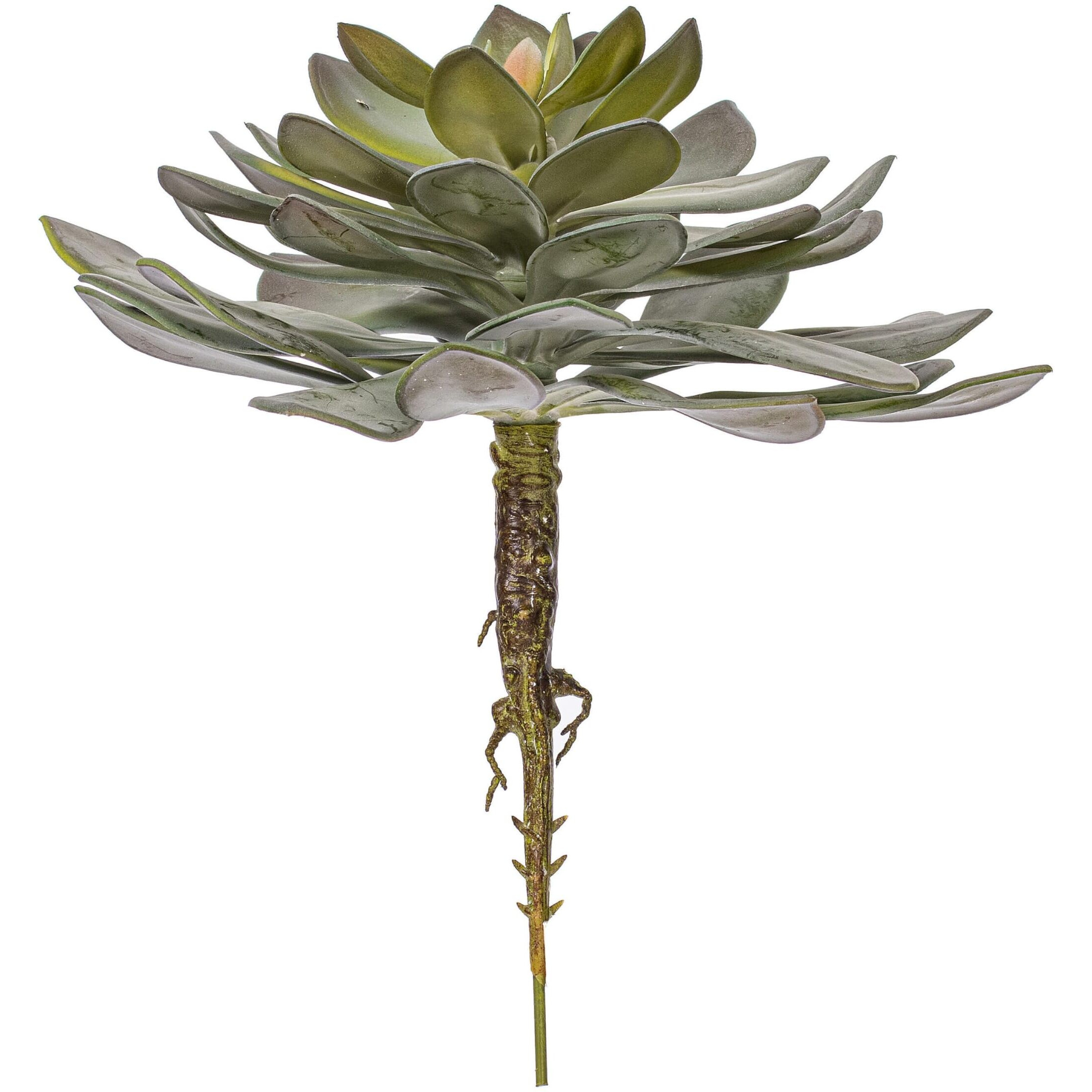 Vickerman 12.5" Green Succulent Pick - FE191112