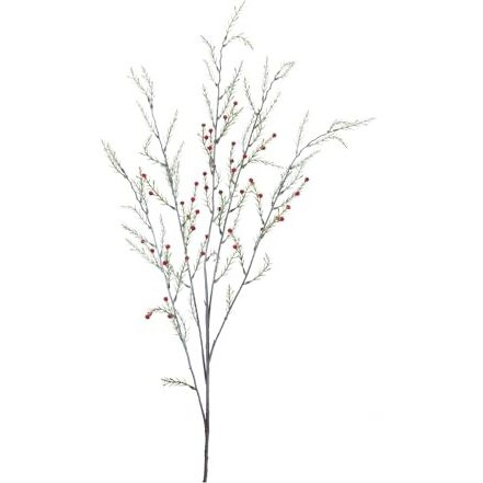 Arborvitae Half Orb 13&quotD