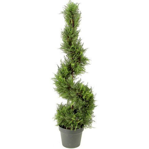 Admired by Nature GTR4632-NATURAL Artificial Cypress Leave Spiral Topiary Plant in Plastic Pot- Green - 3 ft.