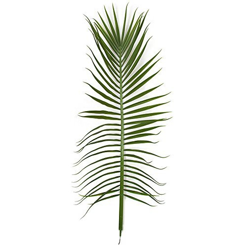 Autograph Foliages AUV-161760 78.5 in. Royal Palm Spray - UV  Green
