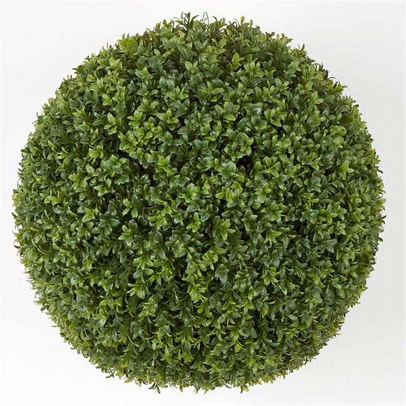 Autograph Foliages A-164020 20 in. Boxwood Ball  Green