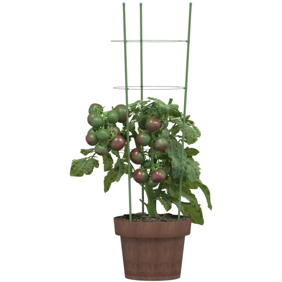 vidaXL Garden Plant Supports with 3 Rings 5 pcs Green 23.6 Steel