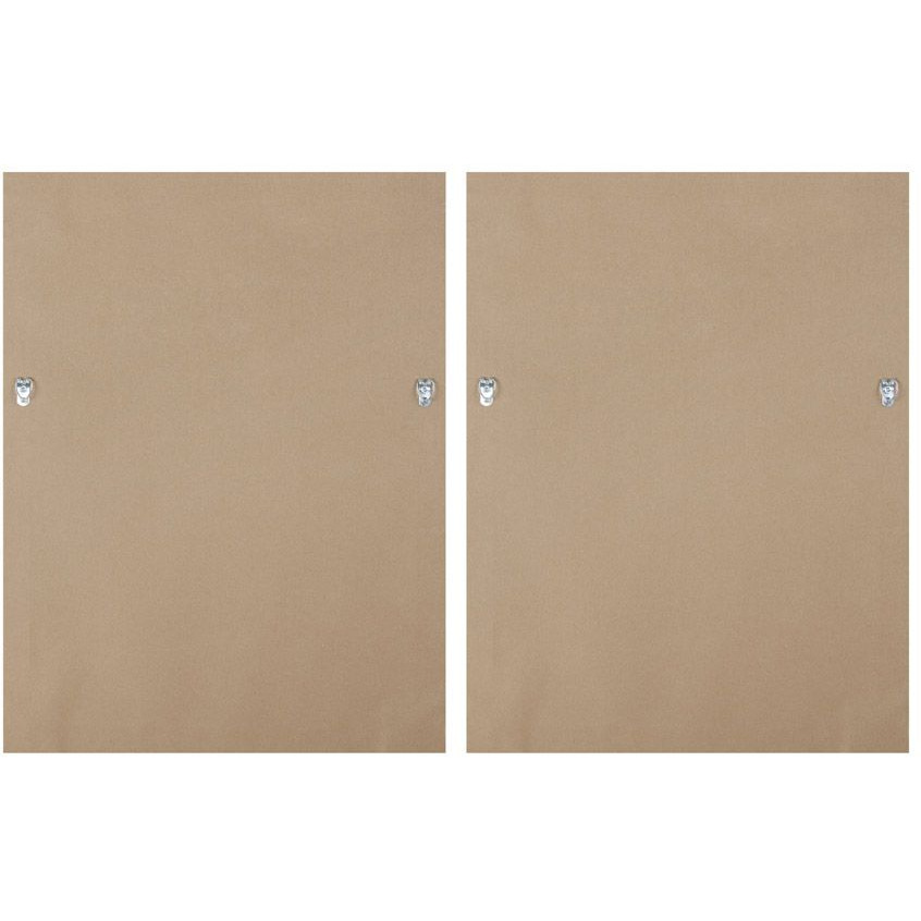 Eucalyptus 2-piece Framed Canvas Wall Decor Set