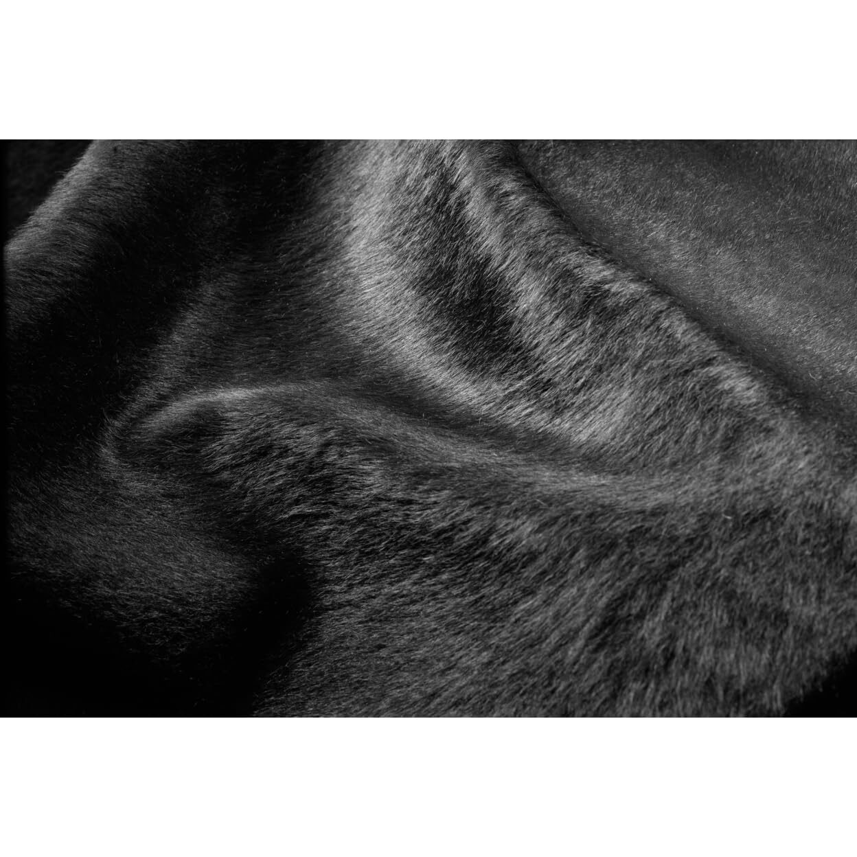 Natural 676685001139 6 x 7 ft. Geneva Cowhide Rug - Black