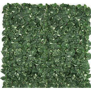 4 x 4 ft. Fire Pothos Grid  Green