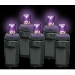 Premium Grade 5MM 50 LED Purple Frost Holiday Lights String with Black Wire