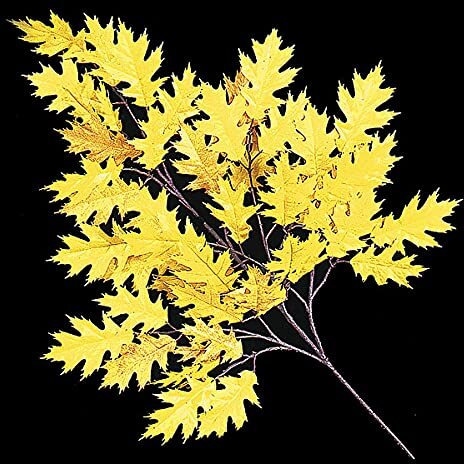 Autograph Foliages PR-4695-WC 29 in. FR Pin Oak Branch&44 Gold