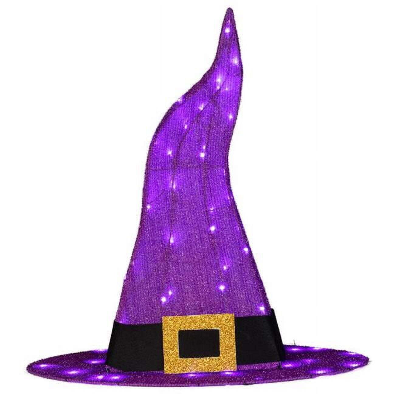30 in. LED Prelit Witch Hat Yard Decor&44 Purple - 50 Count