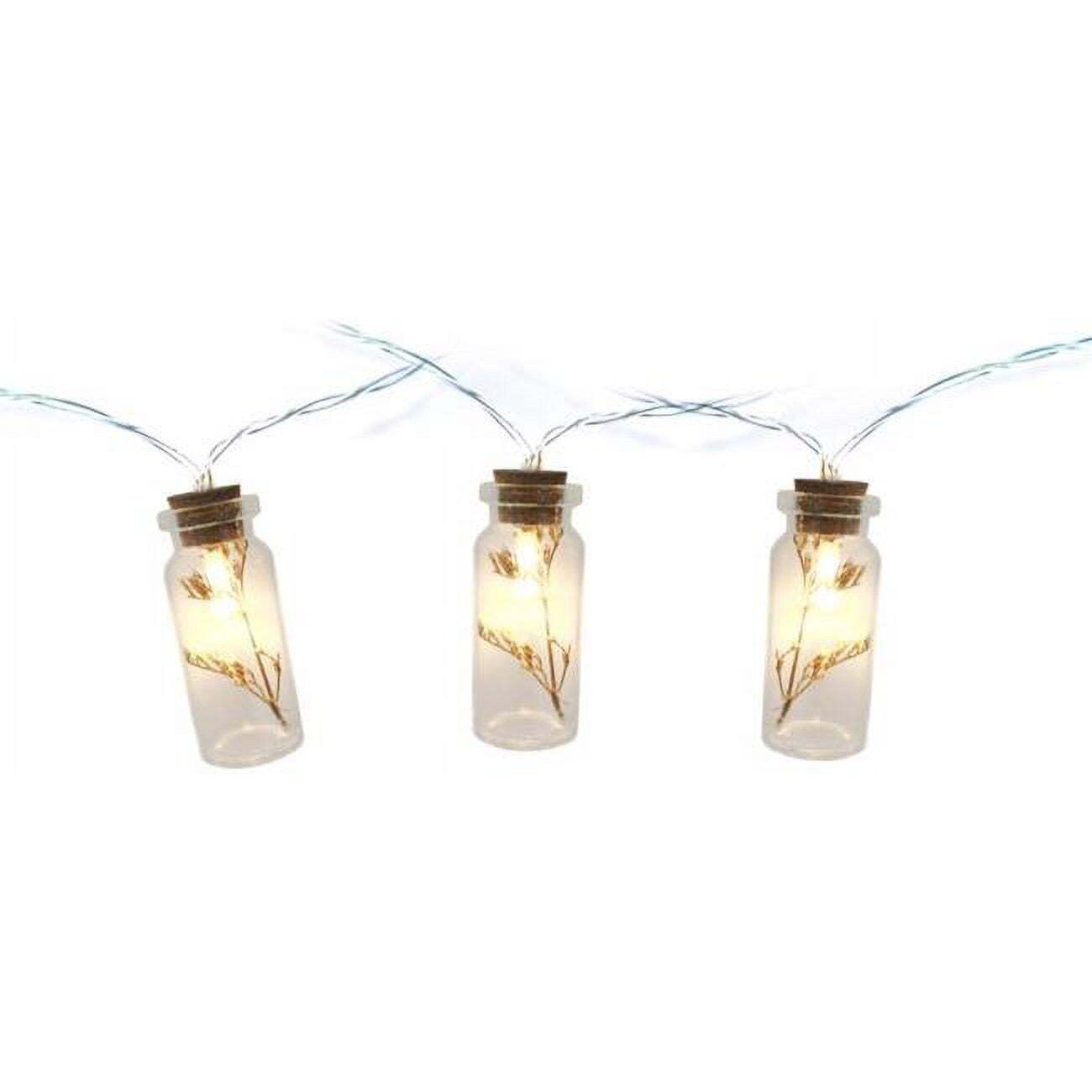 3 ft. Sienna LED String Christmas Lights&44 Warm White - 10 Count