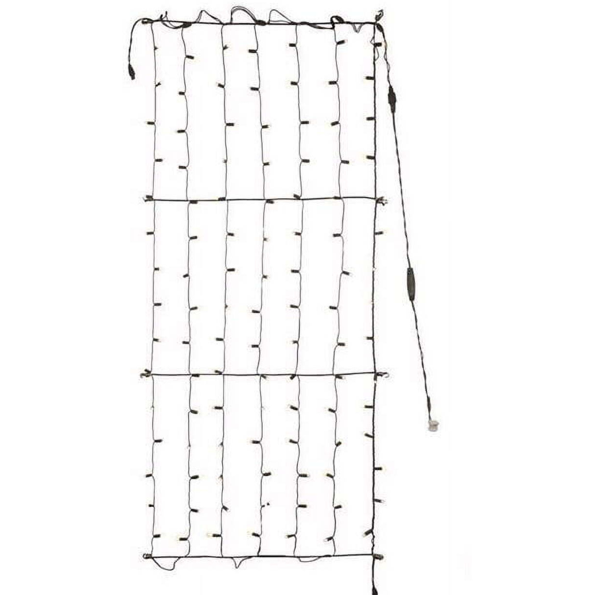 6 ft. Platinum LED Mini Net Christmas Lights&44 Warm White - 100 Count