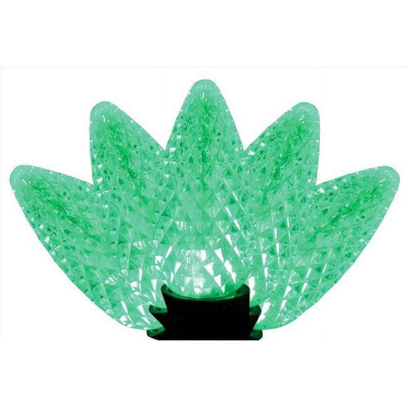 25 ft. Platinum LED C9 String Christmas Lights&44 Green - 25 Count