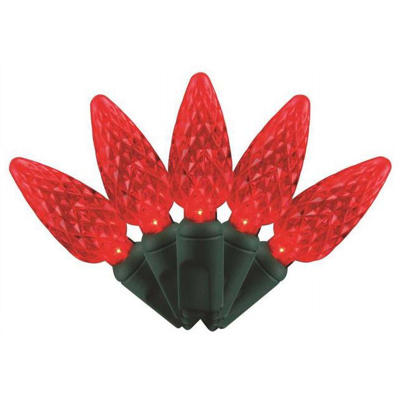 25 ft. Platinum LED C6 String Christmas Lights&44 Red - 50 Count