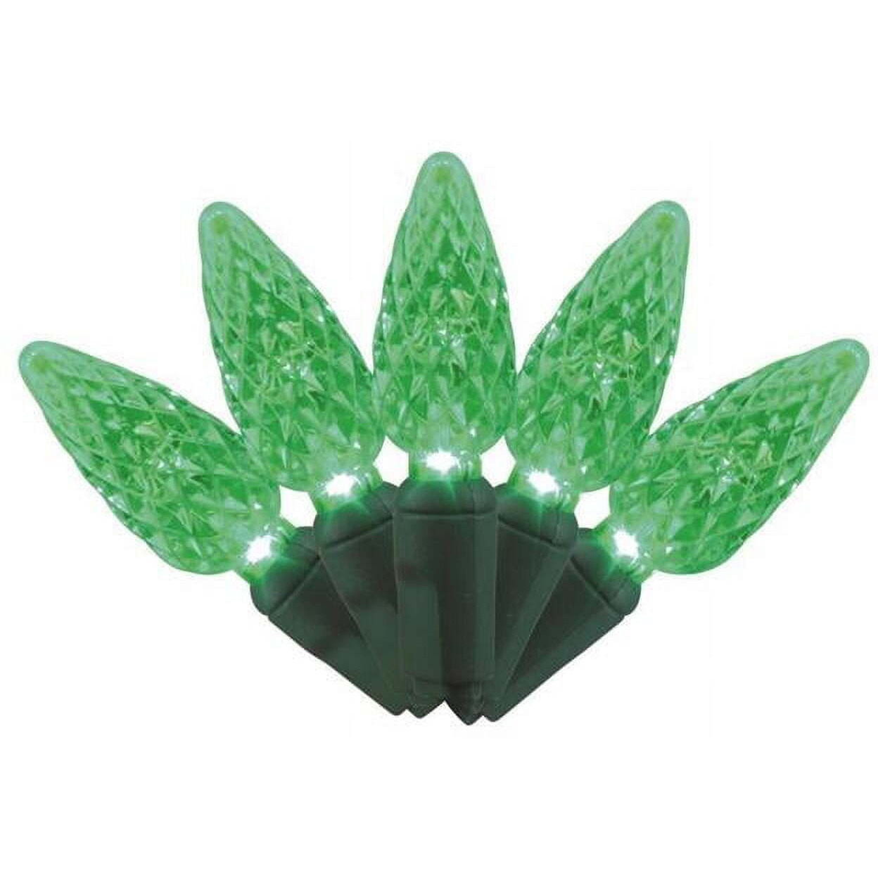 25 ft. Platinum LED C6 String Christmas Lights&44 Green - 50 Count