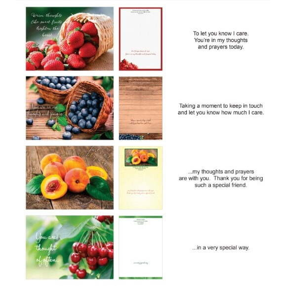 Boxed - Card Shared Blessings-Thinking of You Fruitful Blessings - Box of 12