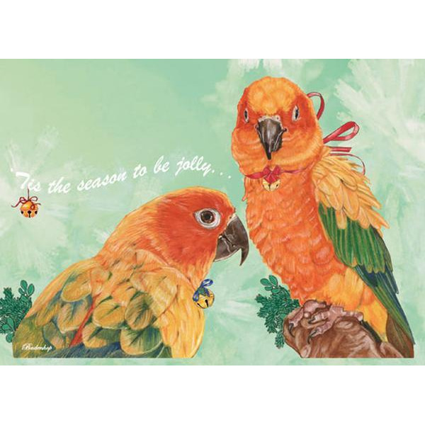 Sun Conure Parrot Boxed Christmas Cards - Set of 10