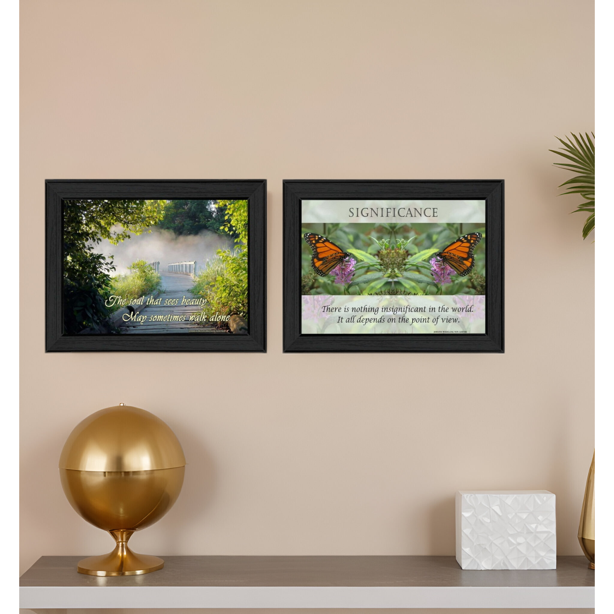 Set Of Two Beauty 1 Black Framed Print Wall Art