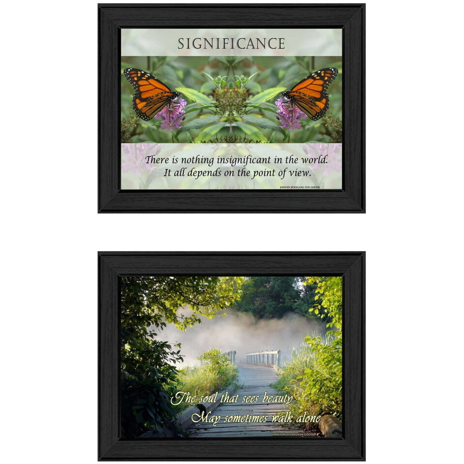 Set Of Two Beauty 1 Black Framed Print Wall Art