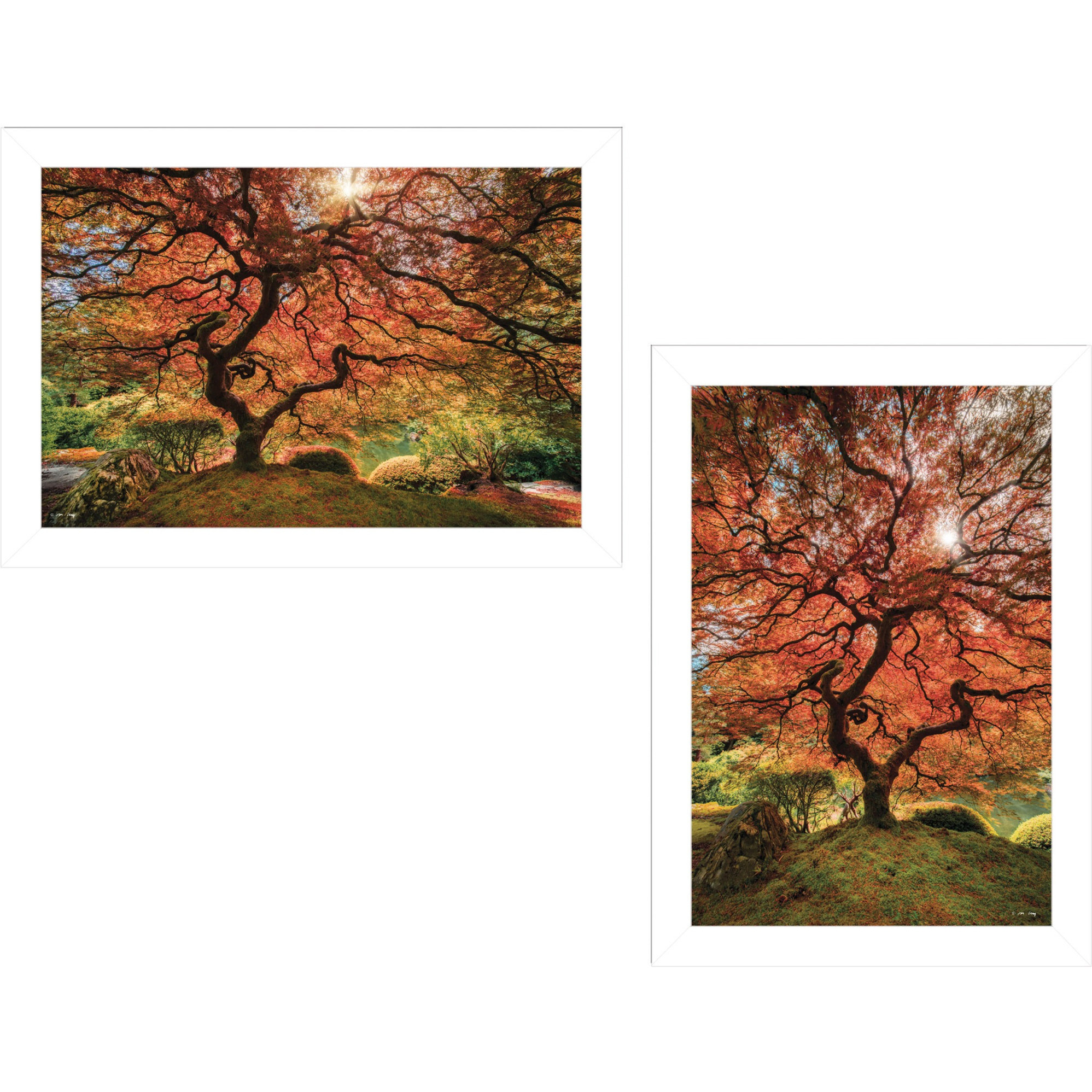 Set Of Two First Colors of Fall I White Framed Print Wall Art