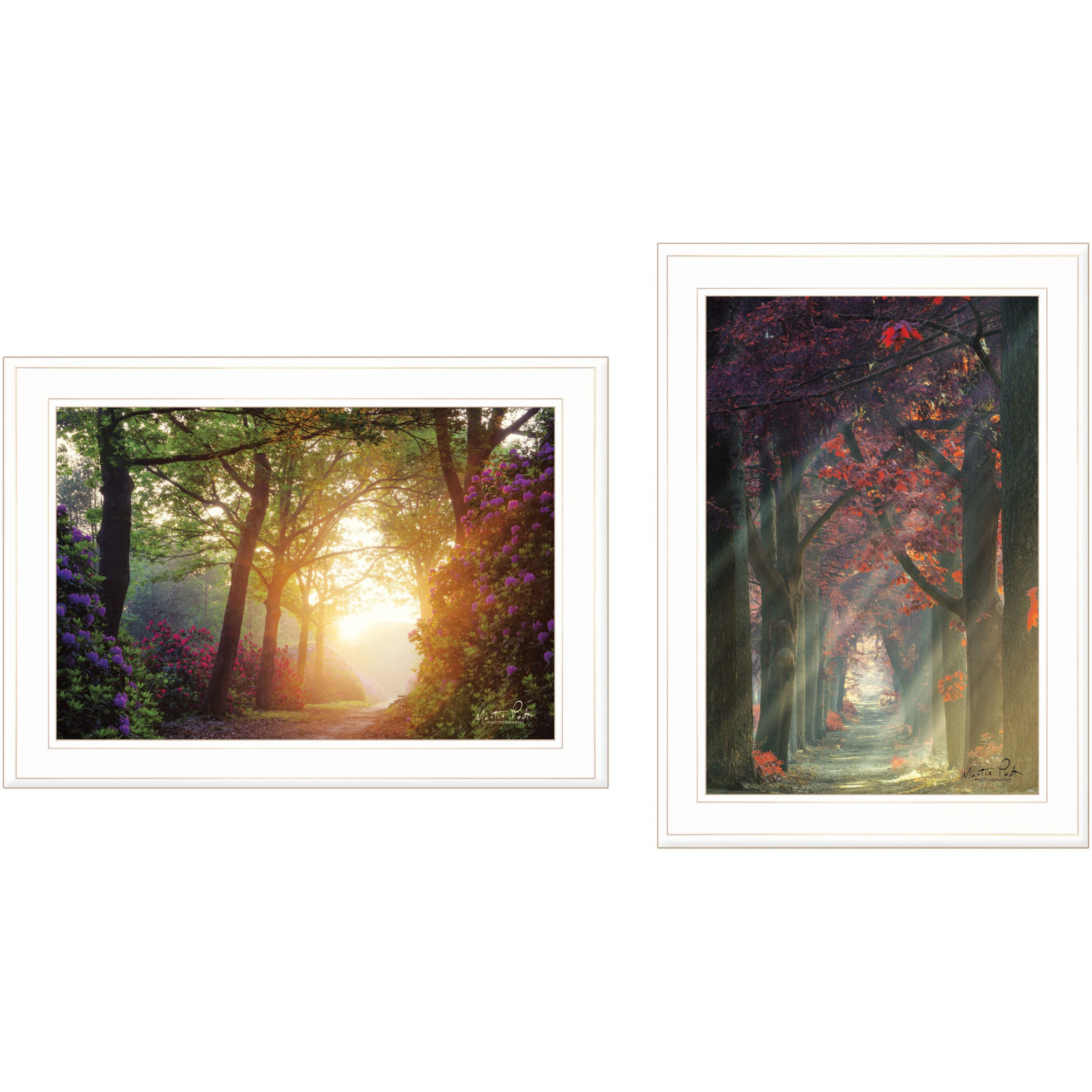Set Of Two Path of Happiness 1 White Framed Print Wall Art